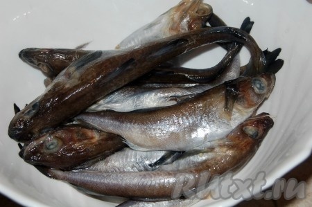 Вот так выглядит рыбка. В длину - 10-15 см.