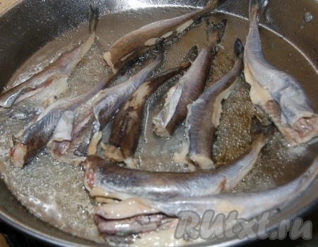 На сковородку налить растительное масло, раскалить его и укладывать рыбу для жарки.