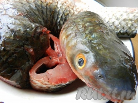 Рыбу очистить, вымыть, разрезать на порционные куски.