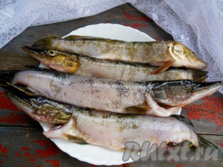 Щуку промойте под проточной водой, снимите при помощи ножа чешую, уберите внутренности. У меня было 4 небольших щучки.
