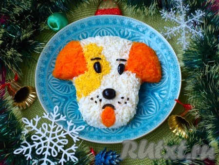 Далее оформить верхний слой салата. Наметить уши и выложить их из натёртой вареной моркови. Варёные яйца разделить на желтки и белки. Из белков выложить мордочку собаки, а из желтка соорудить пятнышко. Глаза, нос сделать из маслин, язык я сделала из моркови (можно заменить на кусочек варёной колбасы). Можно и вовсе не делать язык, у меня 2 варианта. Очень красивый и невероятно вкусный салат "Дружок" подать к новогоднему или рождественскому столу.
