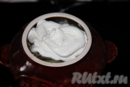 Повторять все в такой же последовательности, пока горшочек не будет заполнен. В конце залить все сметаной. Накрыть горшочек крышкой.
