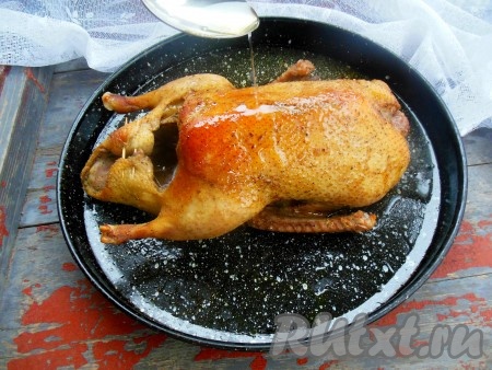 Запекайте утку, замаринованную с горчицей, в заранее разогретой духовке, при температуре 170-180 градусов 1,5-2 часа. Время от времени поливайте утку выделившимся соком. Чтобы определить готова ли утка, необходимо проколоть ее с помощью ножа. Из готовой утки будет вытекать светлый сок, если вытекает сукровица - утку необходимо допечь. 