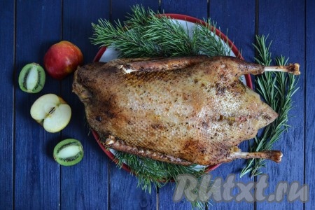 Необыкновенно нежного, сочного и ароматного гуся, фаршированного яблоками и запеченного в рукаве, выложить на большое блюдо и подать на стол в горячем виде. Перед разрезанием обязательно удалите нить, которой зашивали брюшко.
