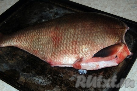 Вымытого леща уложить на противень, на дно противня налить немного растительного масла и воды, внутри рыбу немного посолить. Никаких специй не нужно. Отправить леща запекаться в духовку при температуре 180 градусов.