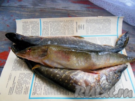 Я готовила щуку свежего улова. Можно взять и замороженную рыбу, перед приготовлением её нужно полностью разморозить при комнатной температуре.