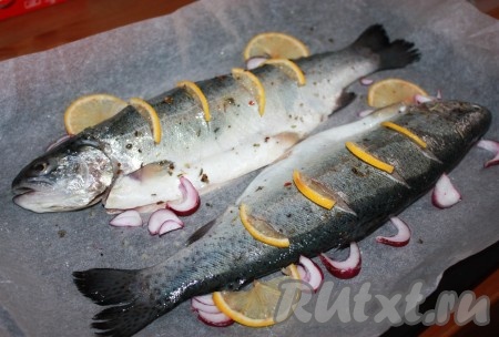 В оливковое масло добавить сок половинки лимона, специи, перемешать, выложить рыбу на противень, застеленный пергаментной бумагой или бумагой для выпечки. Обмазать рыбу со всех сторон смесью масла, лимонного сока и приправ. Сделать на поверхности рыбы несколько небольших надрезов ножом и вложить в них дольки лимона. Также, для вкуса и аромата, вокруг рыбы можно выложить лук, нарезанный полукольцами, и дольки лимона.
