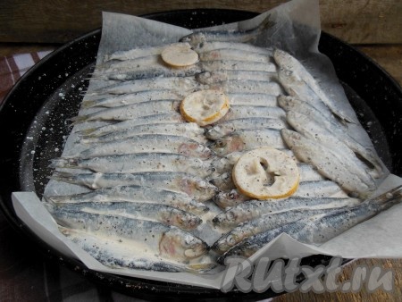 Затем расстелите пергамент на противне, разложите салаку в один слой. Сверху выложите дольки лимона и полейте сметаной, которая осталась после маринования рыбы.

