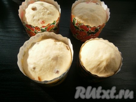 Поместить формочки в теплое место и оставить их для подхода теста на 1 час. Тесто должно хорошо подняться.