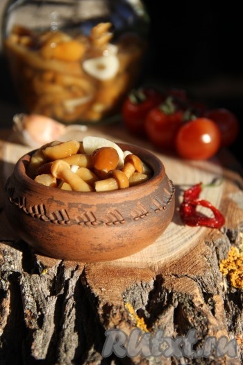 Из данного количества получается 500 граммовая баночка. Вот так просто можно замариновать замороженные опята. Очень вкусно, обязательно попробуйте!
