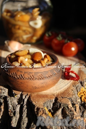 Как замариновать замороженные опята