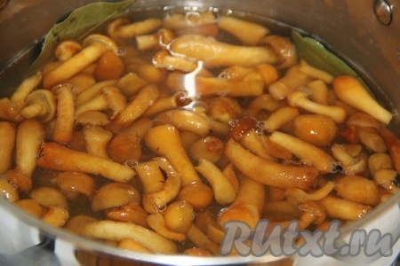 Затем выложить в кастрюлю замороженные опята. Как только грибы закипят, убавить огонь и варить опята в течение 20 минут.
