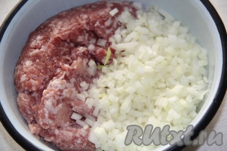 Соединить фарш и лук, добавить соль и специи по вкусу.
