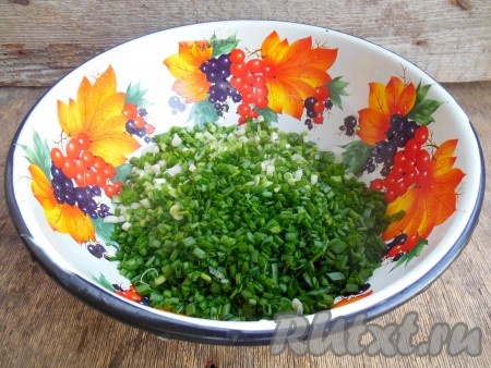 Зеленый лук очистите, промойте под проточной водой. Нам понадобится 150-200 грамм - это, примерно, пучок лука. Мелко нарежьте зеленый лук.