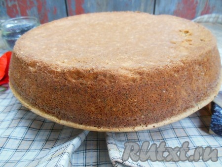 Готовность бисквита с маком проверьте деревянной шпажкой (при проколе готового бисквита шпажка должна остаться сухой). Дайте немного остыть прямо в форме, затем проведите по бортам формы острым ножом, чтобы отделить бисквит от бортика. Переверните бисквит на тарелку или поднос и снимите форму. Дайте полностью остыть. Остывший бисквит необходимо выдержать 6-8 часов, обязательно завернув его в пищевую пленку. Обычно я пеку такой бисквит с маком вечером и даю ему отлежаться до утра.
