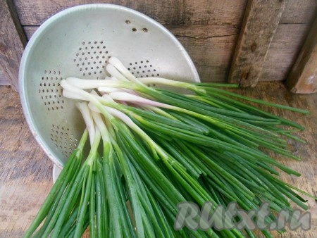 Для заморозки отлично подходит свежайший зеленый лук с молодыми перышками (лучше брать лук, у которого не засохли кончики перьев). Лук очистите, тщательно промойте под проточной водой, удалите вялые части (если они есть). Выложите на дуршлаг, чтобы стекла вода.
