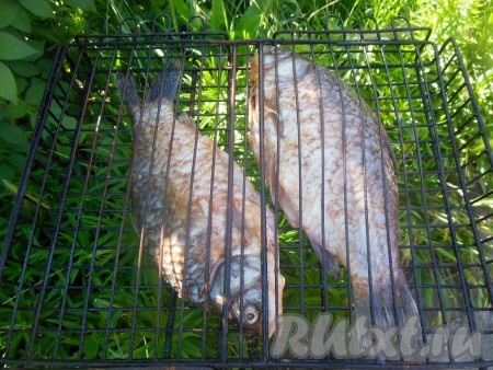 Рыба перед запеканием выглядит, как на фото.
