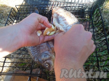 Разведите огонь, дайте дровам прогореть. Смажьте решетку растительным маслом. Выложите карасей на решетку мангала. В брюшко рыбы, по желанию, можно добавить нарезанный чеснок и лимон, в котором мариновалась рыбка.