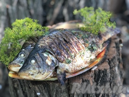 Карп, запеченный на решетке на мангале, получается очень сочным,&nbsp;с нежным вкусом и непревзойденным ароматом дымка. С такой рыбой прекрасно сочетаются свежие овощи или легкие салаты.
