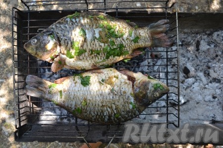 Выложить карпа на решетку и отправить на мангал (в нем должны быть раскаленные угли, а не открытое пламя).
