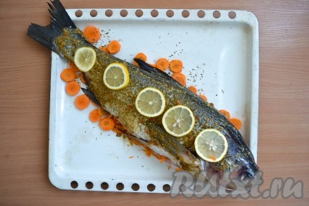 Поверх рыбы выложить тонко нарезанные кольца лимона. Отправить противень в разогретую духовку.
