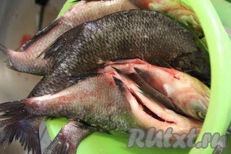 Рыбу промыть под проточной водой, разрезать брюшко и удалить внутренности. Леща обсушить бумажными полотенцами, а затем натереть солью внутри и снаружи. Оставить просолиться на 1 час в холодильнике.
