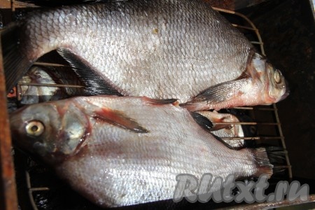 Подготовить коптильню: щепу предварительно замочить на 20-30 минут в воде. Я наливаю воду в пакет с щепой, а затем минут через 30 делаю несколько проколов в пакете и вода стекает. Выложить щепу на дно коптильни и равномерно распределить. Поверх щепы выложить лист фольги и сделать в нём отверстия, можно просто прорвать пальцем фольгу (примерно, 8-10 отверстий). Затем поместить решётку с рыбой (у меня рыба в два ряда). Коптильню, накрыв крышкой, поставить на мангал с раскалёнными углями.&nbsp;
