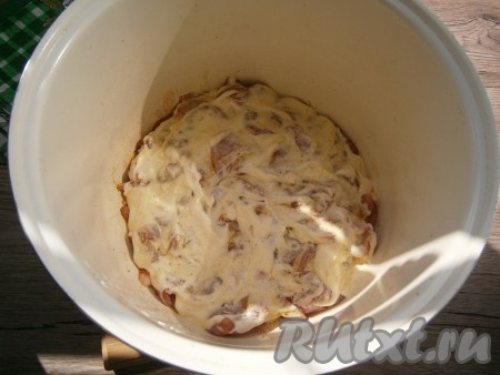 Щедро смазать курицу приготовленным соусом.
