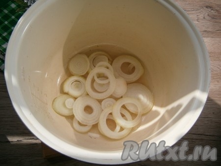 В чашу мультиварки влить растительное масло, выложить очищенный лук, нарезанный кольцами.
