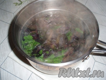 Влить кипяток, прикрыть посуду крышкой и дать напитку остыть до комнатной температуры.