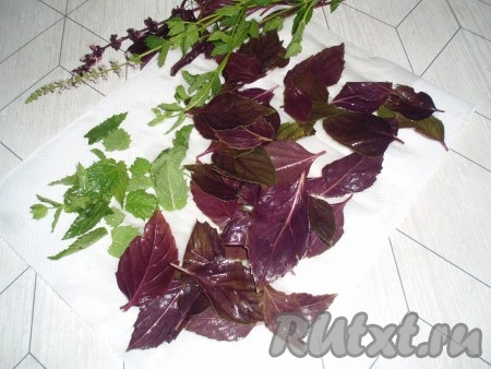 Базилик и мяту вымыть, обсушить на бумажных полотенцах.
