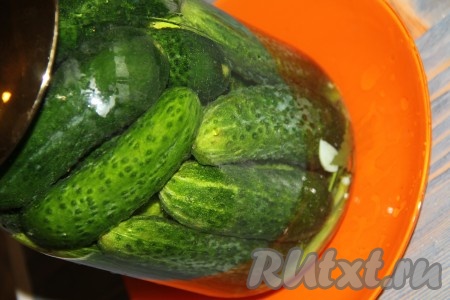 Влить приготовленный солевой раствор в банку, а затем долить воду в банку до края горлышка. Я использовала родниковую воду, но подойдёт и колодезная, и бутилированная питьевая вода из магазина. От качества воды в этом рецепте зависит многое. Накрыть банку блюдцем. Поставить банку в тарелку (в процессе брожения вода будет переливаться через край банки, а тарелка не даст воде разлиться дальше). Банку оставить при комнатной температуре на 3 суток.