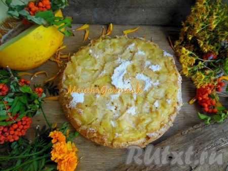 Дайте пирогу слегка остыть в форме, затем, проведя ножом по краю формы, переверните пирог на поднос или тарелку. После полного остывания посыпьте шарлотку с дыней сахарной пудрой. Легкий, ароматный пирог готовится очень просто, из вполне доступных ингредиентов. Подайте такую шарлотку к ароматному кофе или чаю, ваши близкие обязательно оценят ваш труд.
