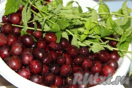 Крыжовник перебрать и промыть под проточной водой. Мы будем использовать целые веточки мяты. Веточки мяты тоже вымыть.
