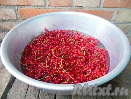 В глубокую миску налейте воду, поместите в неё веточки с ягодами. Лучше не выкладывать в миску очень много ягод.
