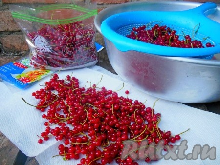 Переложите просушенные ягоды смородины в целлофановые пакеты или специальные пакеты для заморозки с застежкой, либо пластиковые контейнеры. Главное - это использовать герметичную упаковку (в нее не проникают лишние запахи). Очень удобно делать маленькие порционные заготовки, чтобы каждый раз не размораживать продукт. Да и в морозильной камере маленькая упаковка хранится более компактно.