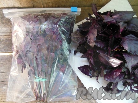 Замораживать пучки удобнее всего в пакете для заморозки. Достаточно подготовленные и обсушенные веточки базилика аккуратно переложить в пакеты и застегнуть или завязать пакеты.
