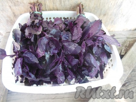 Веточки базилика промойте под проточной водой. Затем, для того чтобы полностью смыть возможных насекомых, землю или песок, окуните веточки несколько раз в воду. Переложите пучки базилика на дуршлаг. Оставьте на 20 минут.