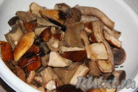 Лесные грибы перебрать, промыть водой и нарезать на небольшие кусочки.
