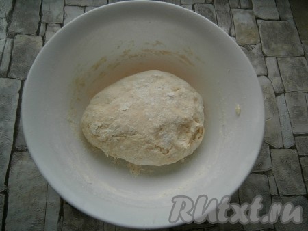 Замесить тесто, добавляя понемногу оставшуюся муку. Тесто должно получиться мягким и нежным. Поместить его в пакет и отправить в холодильник на 1 час.

