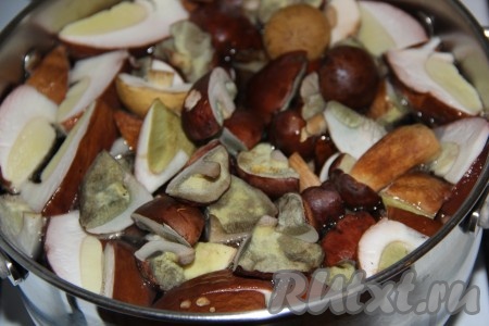 Выложить грибы в кастрюлю, полностью залить холодной водой, отправить на огонь и довести до кипения.
