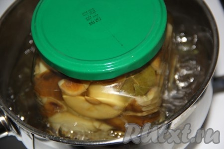Прикрыть банки прокипяченными крышками. На дно кастрюли, в которой будем стерилизовать банки, можно положить тряпочку, сложенную в несколько раз. Влить в кастрюлю горячую воду. Банки с грибами аккуратно поставить в кастрюлю с водой (вода должна быть по "плечики" банок). Поставить кастрюлю с банками на средний огонь и стерилизовать 15 минут с момента закипания.
