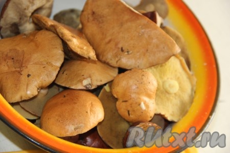 Лесные грибы перебрать, удалить листочки и грязь.