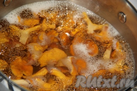 Варить лисички в течение 25 минут с момента закипания на огне ниже среднего.
