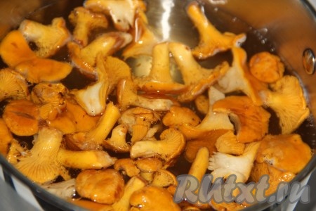 Лисички выложить в кастрюлю, полностью залить водой. Поставить кастрюлю на огонь, довести воду до кипения.
