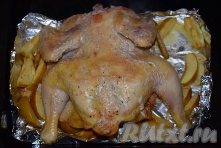 Далее достаём нашу курицу и аккуратно переворачиваем её на другую сторону. Запекаем курицу ещё примерно 40-50 минут (до красивого румяного цвета). Время запекания целой курочки может варьироваться, в зависимости от её веса, - чем меньше птица, тем меньше времени на её запекание нам потребуется, и наоборот. Если яблоки мягких сортов, то, вполне вероятно, что они будут уже полностью готовы, их можно будет снять с противня и выложить на блюдо для подачи.