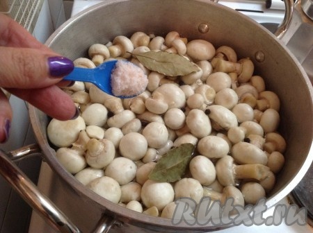 Поставить кастрюлю с водой на огонь и отправить туда шампиньоны. Посолить, добавить лавровые листья и перец горошком.
