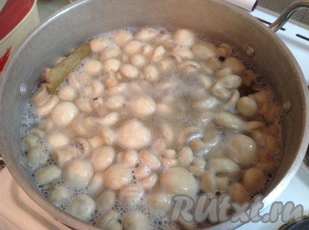 Варить шампиньоны на среднем огне 10 минут с момента закипания, периодически помешивая, и следить, чтобы не убегала пена.
