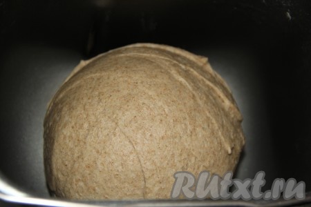 Можно и вручную замесить тесто, для этого в глубокую миску нужно влить пиво комнатной температуры и масло, добавить сахар, соль и яйцо, слегка перемешать, затем всыпать дрожжи, ржаную и пшеничную муку. Замесить тесто не липнущее к рукам и оставить его для подхода на 1,5 часа в тёплом месте.
