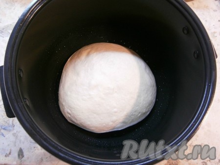 Разместить тесто в смазанную растительным маслом чашу мультиварки, выставить режим "Мультиповар" с температурой 30 градусов на 20 минут. Крышку мультиварки закрыть.
